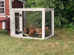 OverEZ Coop In A Box - 5 Birds -Outdoor Camping Sales Screenshot2021 09 21134919