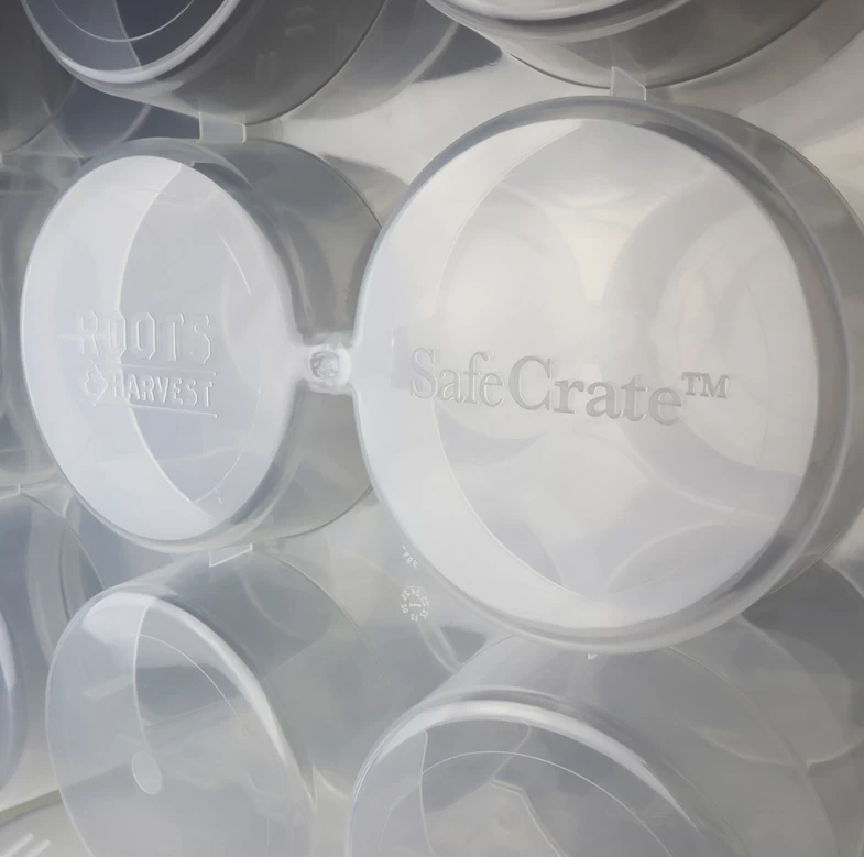 Roots & Harvest Safe Crate For Pint Jars 5 Roots & Harvest Safe Crate For Pint Jars - Image 5