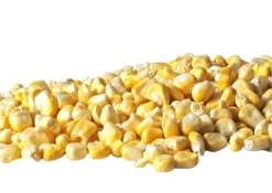 Ready Hour Freeze-Dried Corn Case Pack 6 Ready Hour Freeze-Dried Corn Case Pack -Outdoor Camping Sales Untitled 508x360 96d0fad7 9d32 4230 a46c fd2e358ac3b6