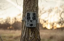 Spypoint Force-Pro Trail Camera 8 Spypoint Force-Pro Trail Camera -Outdoor Camping Sales cam force