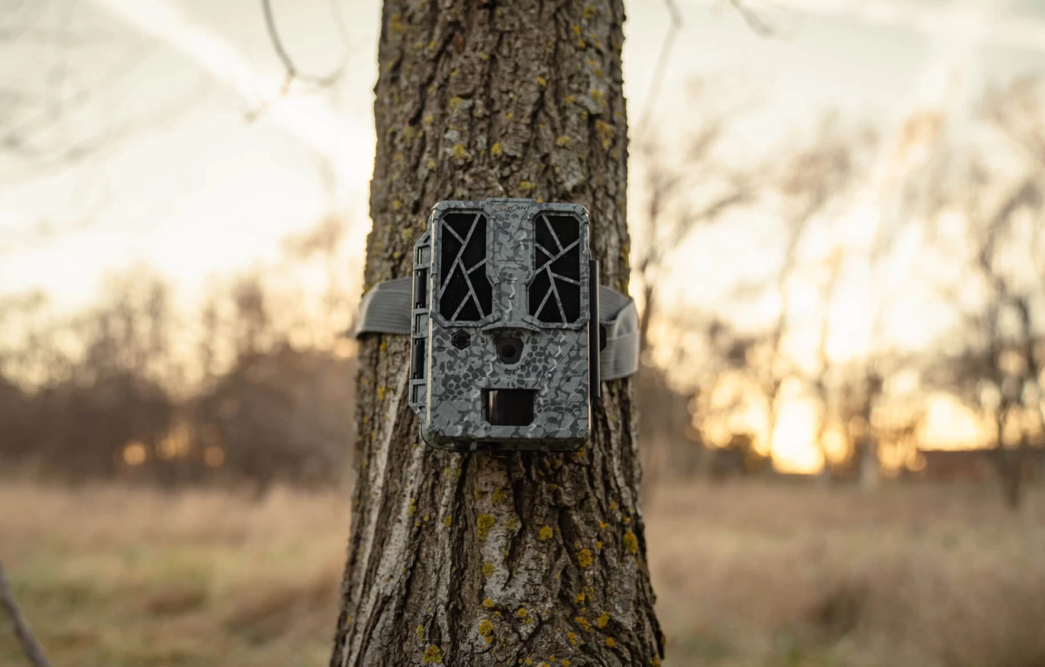 Spypoint Force-Pro Trail Camera 4 Spypoint Force-Pro Trail Camera - Image 4