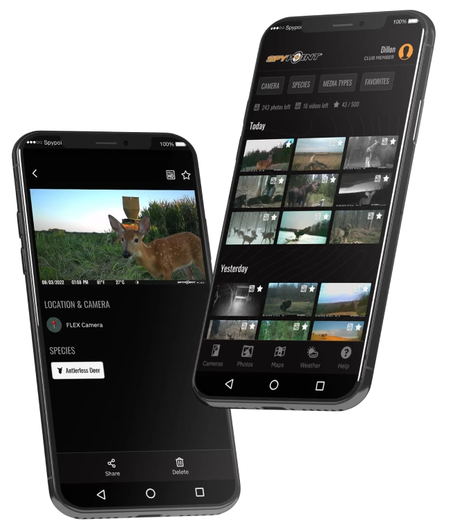 SpyPoint LM2 Cellular Trail Camera 4 SpyPoint LM2 Cellular Trail Camera - Image 4