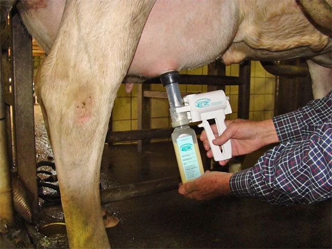 EZ Animal Products Udderly EZ Hand Cow Milkers 4 EZ Animal Products Udderly EZ Hand Cow Milkers - Image 4