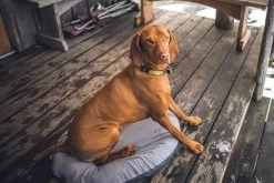 Klymit Moon Dog Bed 19 Klymit Moon Dog Bed -Outdoor Camping Sales pf 04628cc4 KlymitMoonDogBedMedium06MDGY01DLS02812x542